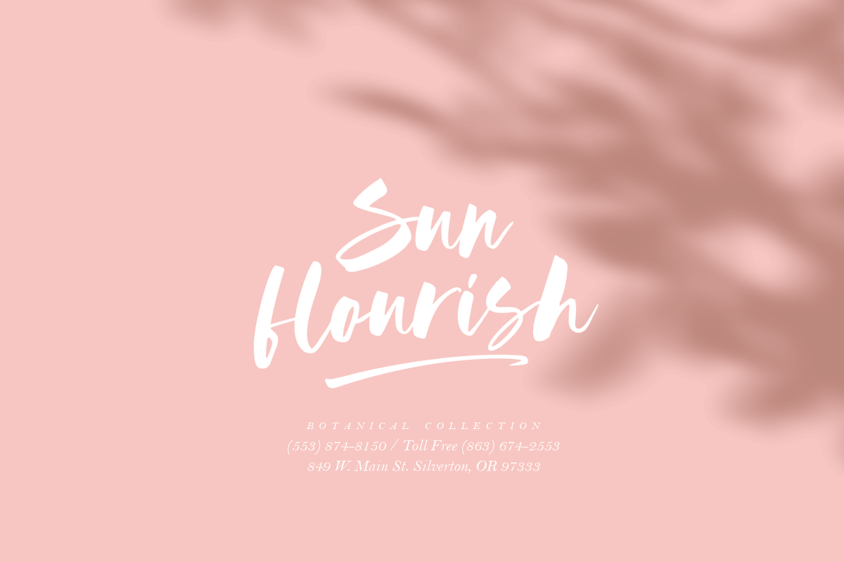 Austine - A Modern Script Font preview 2