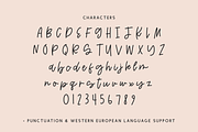 Streamfield Script, a Handwritten Font by Beck McCormick (Thumbnail 10 of 10)
