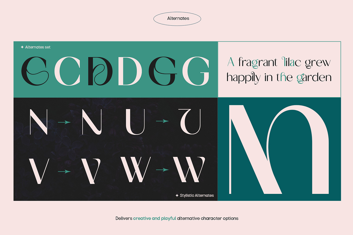 TBJ Milky – 8 Styles Boldly Sans, a Sans Serif Font by Taboja Studio (Photo 5 of 18)