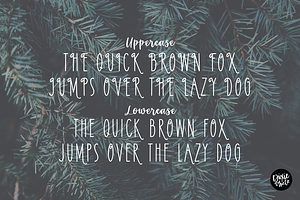 PINEWOOD Farmhouse Christmas Font