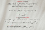 Fife Gallery | Modern Calligraphy, a Handwritten Font by Lemonthe (Thumbnail 8 of 9)