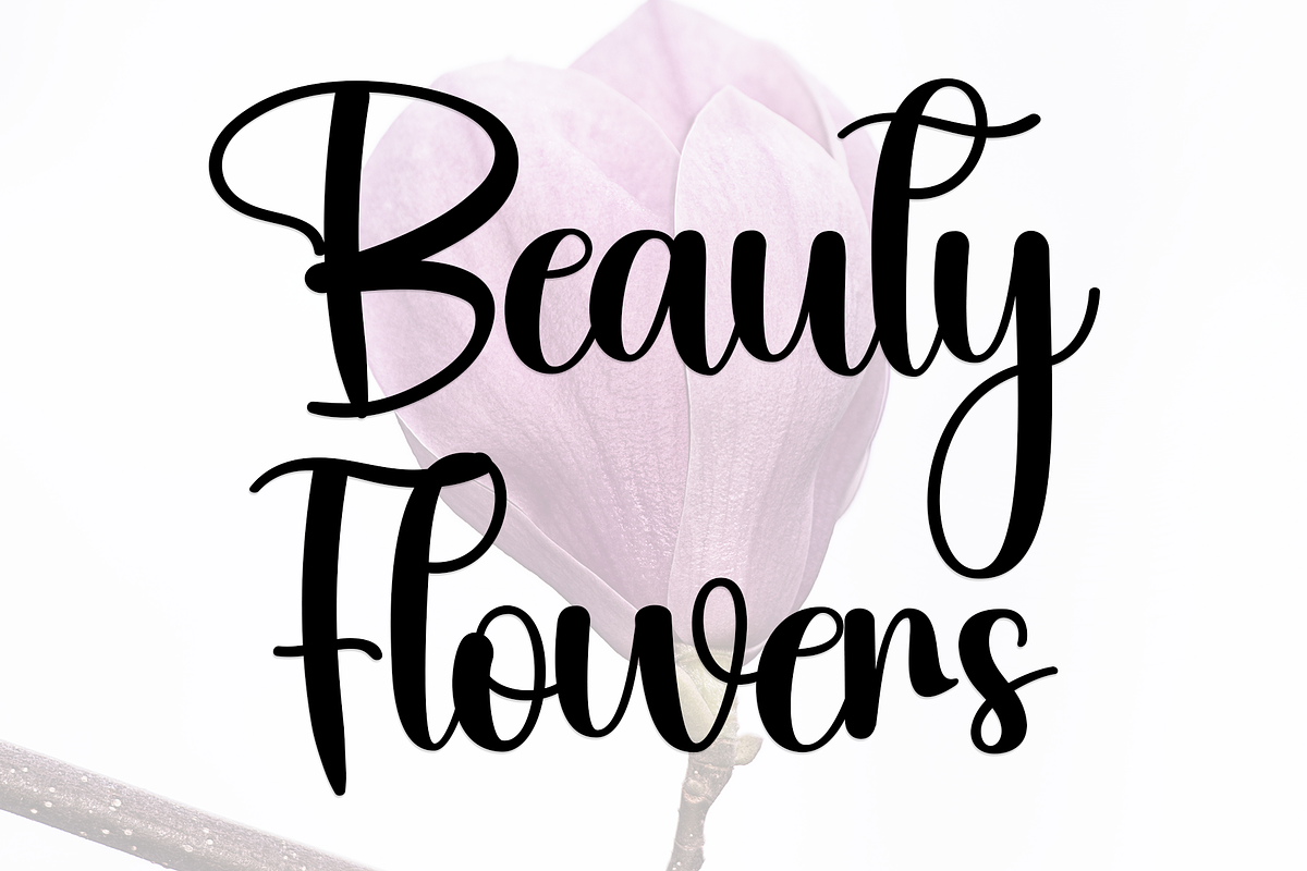 Magnolia Signature, a Handwritten Font by FreshTypeINK (Photo 5 of 8)