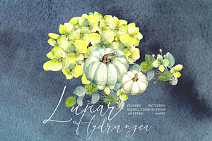 Lunar Hydrangea