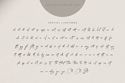 Chapter Fourteen Script Font, a Script Font by Creativeqube Design (Thumbnail 11 of 11)