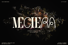 Meciera | Combination Serif