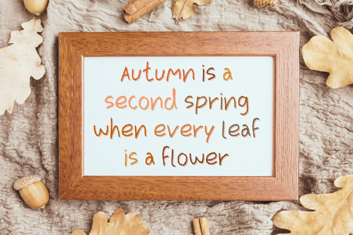 Autumn - A Handwritten Font, a Handwritten Font by ChiraaDesign (Photo 4 of 6)