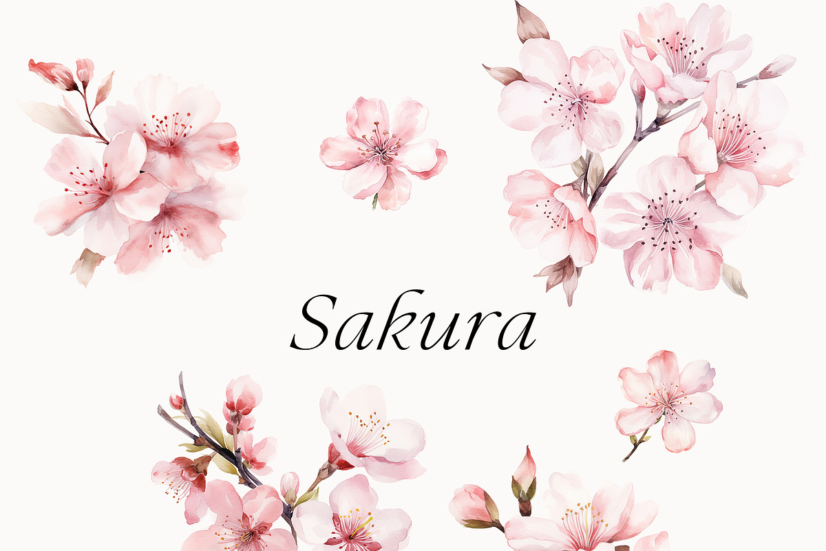 Watercolor Floral Bundle (45 in 1), a Decorative Illustration by Lana Elanor (Photo 10 of 180)