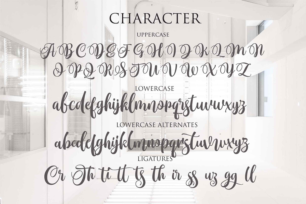 Monttassic - Luxury Script Font preview 6