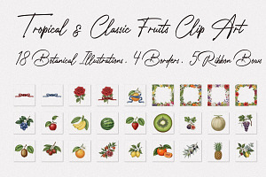 Botanical Fruit Illustration Bundle