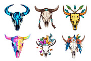 Western Cow Skull Clipart, an Illustration by CreationArt (Thumbnail 4 of 5)