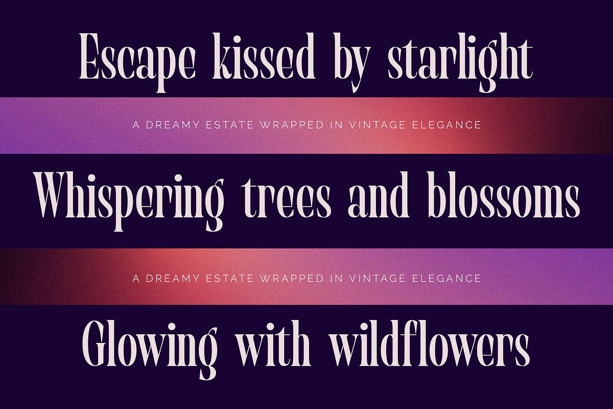 Begosta Modern Display Serif, a Serif Font by timelesstype.co (Photo 4 of 20)