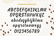 Chuck Noon Script, a Script Font by Twicolabs Fontdation (Thumbnail 12 of 13)