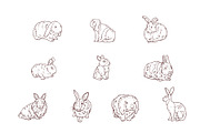 Breeds Rabbit Handdrawn Vol 2, an Animal Illustration by SLAB! Design (Thumbnail 2 of 3)