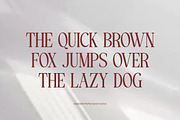 Azfar Serif Font, a Serif Font by Pepatah Studio (Thumbnail 7 of 12)