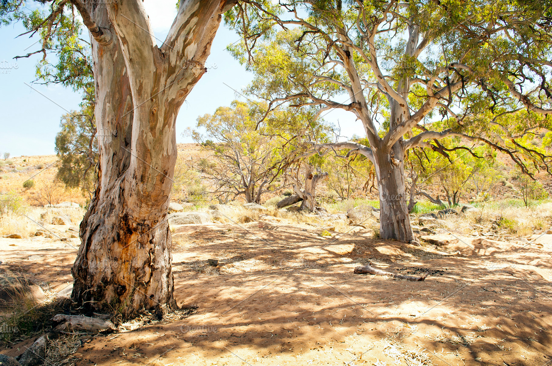 Australian Outback Oasis, a Nature Photo by THP Creative