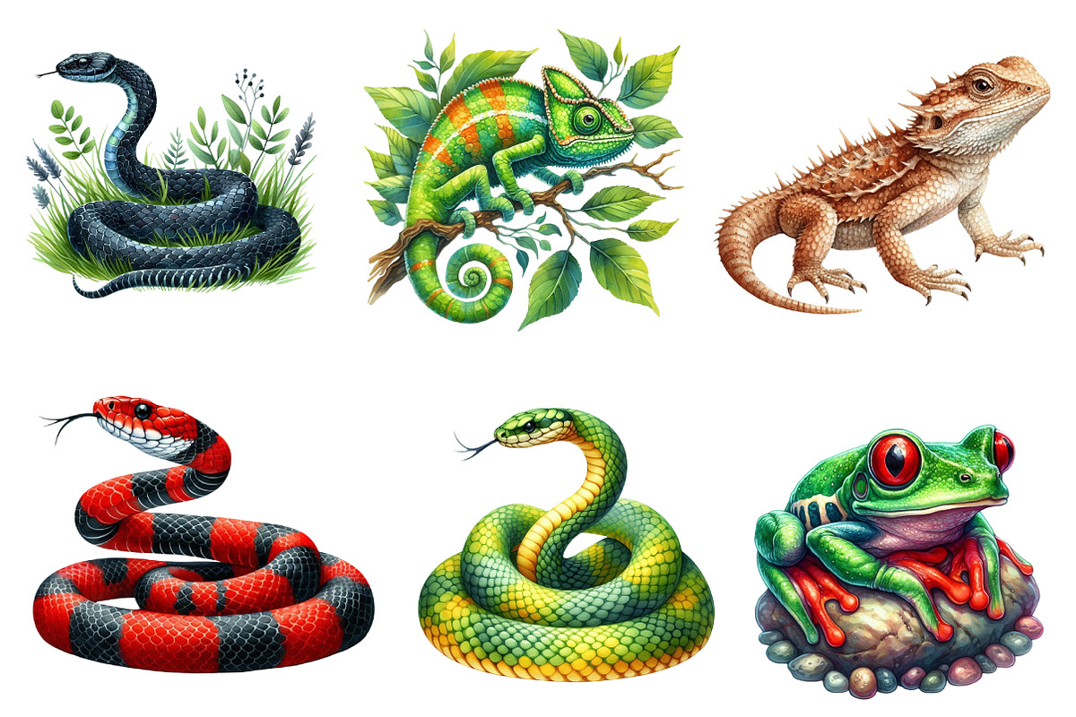 Watercolor Reptile Clipart Amphibian, an Illustration by CreationArt (Photo 3 of 5)