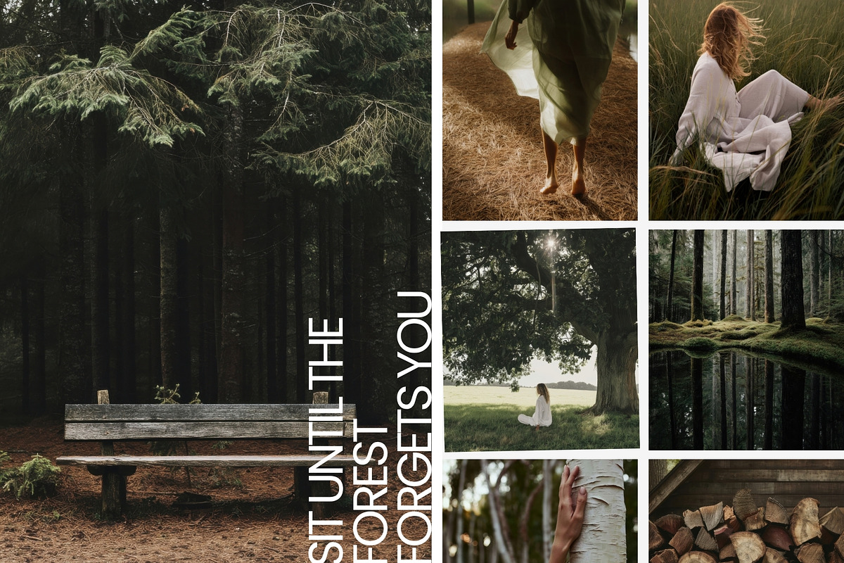 Forest Stock Photos | Moody Woodland, a Nature Photo by Tale.Haus (Photo 11 of 20)