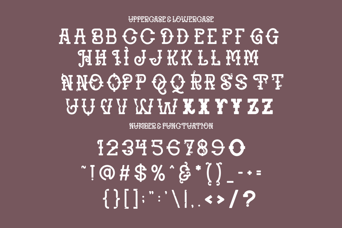 Regal Grace - Multi Elegant Serif, a Font by PutraCetol Studio