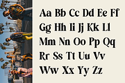 Hedosyan - Display Serif Font, a Serif Font by RockboyStd (Thumbnail 8 of 12)
