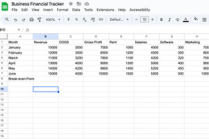 Business Financial Tracker