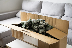 Christmas Tree in Box Inside Living Room with Sofa Background, a Holiday Photo by etorres69