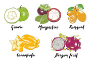 Set of 44 organic food sketches, a Food Illustration by Akimo Mia (Thumbnail 2 of 9)