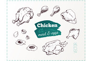 Hand-drawn Cooking and Food Icons, a Decorative Illustration by Margo Miller (Thumbnail 39 of 48)