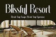 Dalkine Modern Serif Font, a Serif Font by Perfectype (Thumbnail 4 of 6)