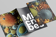 Microbes. 40 images, a Healthcare Illustration by Handmadefont (Thumbnail 9 of 11)