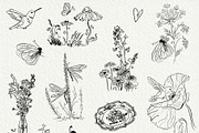 New Perennial Garden Wedding, a Decorative Illustration by divanovskaya_nv (Thumbnail 4 of 27)