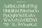Salitia - 6 Font and Swash, a Serif Font by Dharmas Foundry (Thumbnail 14 of 16)