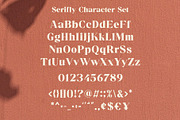 Serifly - Bold Serif Font, a Serif Font by Almeera Std (Thumbnail 3 of 5)