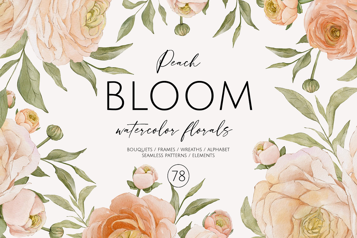 Peach BLOOM watercolor florals, a Decorative Illustration by Yuliia Lashevska (Photo 1 of 14)