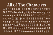 CS Raluca – Retro Font, a Serif Font by Craft Supply Co. (Thumbnail 8 of 8)