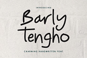 Barly Tengho Charming Casual Font, a Handwritten Font by Maulana Creative (Thumbnail 1 of 6)