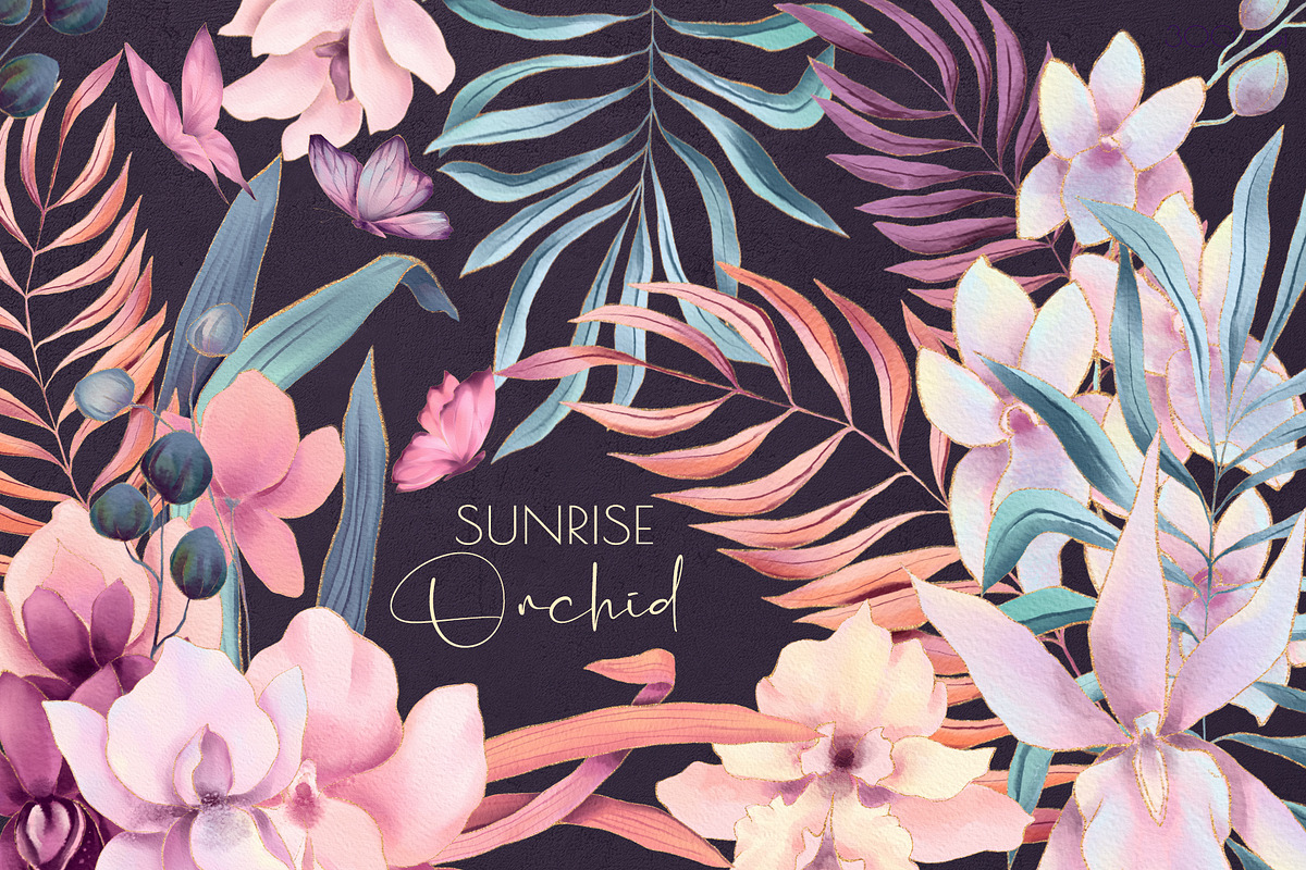 Sunrise Orchid, an Illustration by Salted Galaxy (Photo 1 of 14)