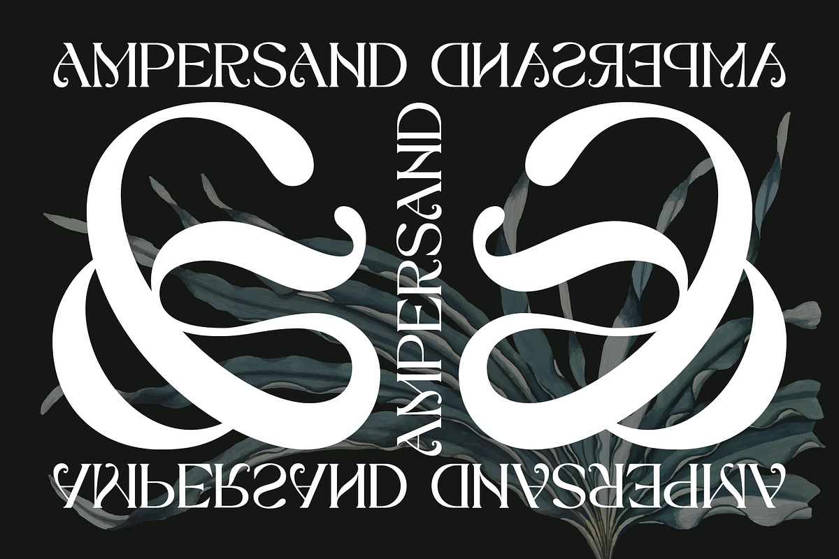TAN - CALIFORNIA, a Serif Font by TanType (Photo 14 of 16)