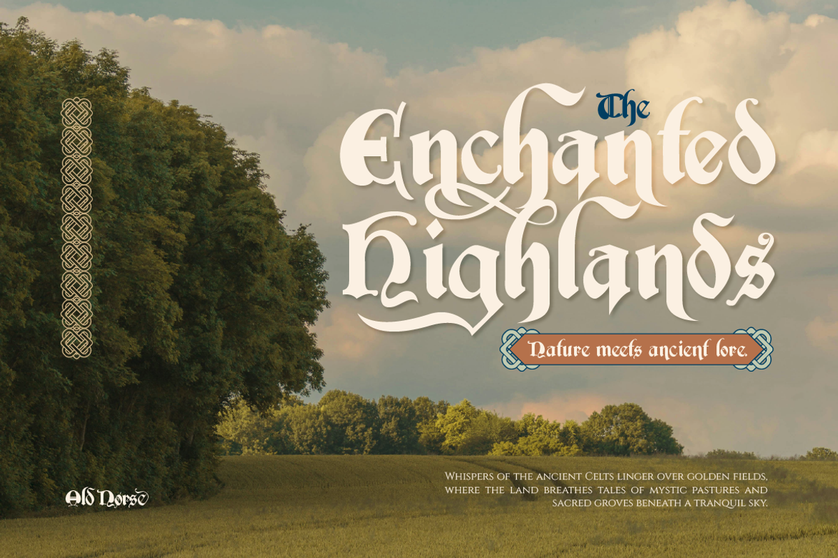Old Norse, a Serif Font by Burntilldead (Photo 3 of 12)