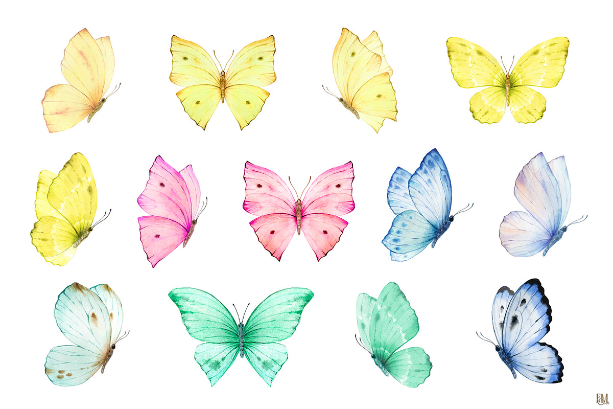 Watercolor Butterflies and Flowers, a Decorative Illustration by Elena Medvedeva (Photo 3 of 12)
