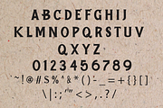 Dejavu Land - Vintage Font, a Serif Font by ivan_artnivora (Thumbnail 2 of 3)