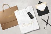Anaheim script pro font ( update ), a Script Font by Emyself Design (Thumbnail 9 of 12)