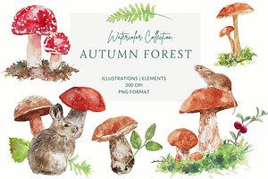 Watercolor Autumn Mushrooms