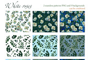White roses. Hand painted floral set, a Pattern Graphic by olly87 (Thumbnail 3 of 5)