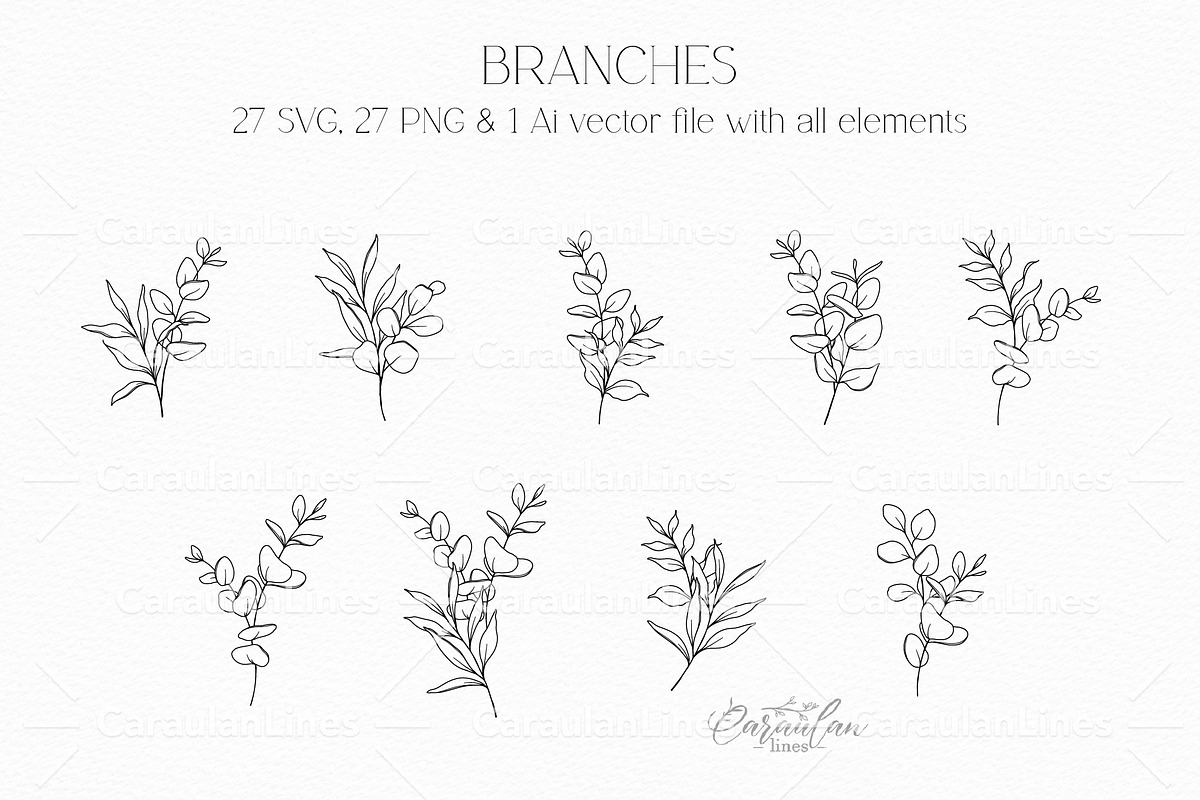 Eucalyptus Greenery Line Art, an Object Graphic by CaraulanStore (Photo 4 of 7)