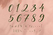 Alerquisant - Naturally Yours, a Script Font by HypeWorksCo (Thumbnail 18 of 18)