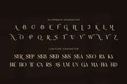 Boxer Elegant Display Serif Font, a Serif Font by Graphicxell (Thumbnail 8 of 8)