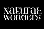 Rghs Font Family, a Serif Font by Ryul Davidson (Thumbnail 5 of 15)