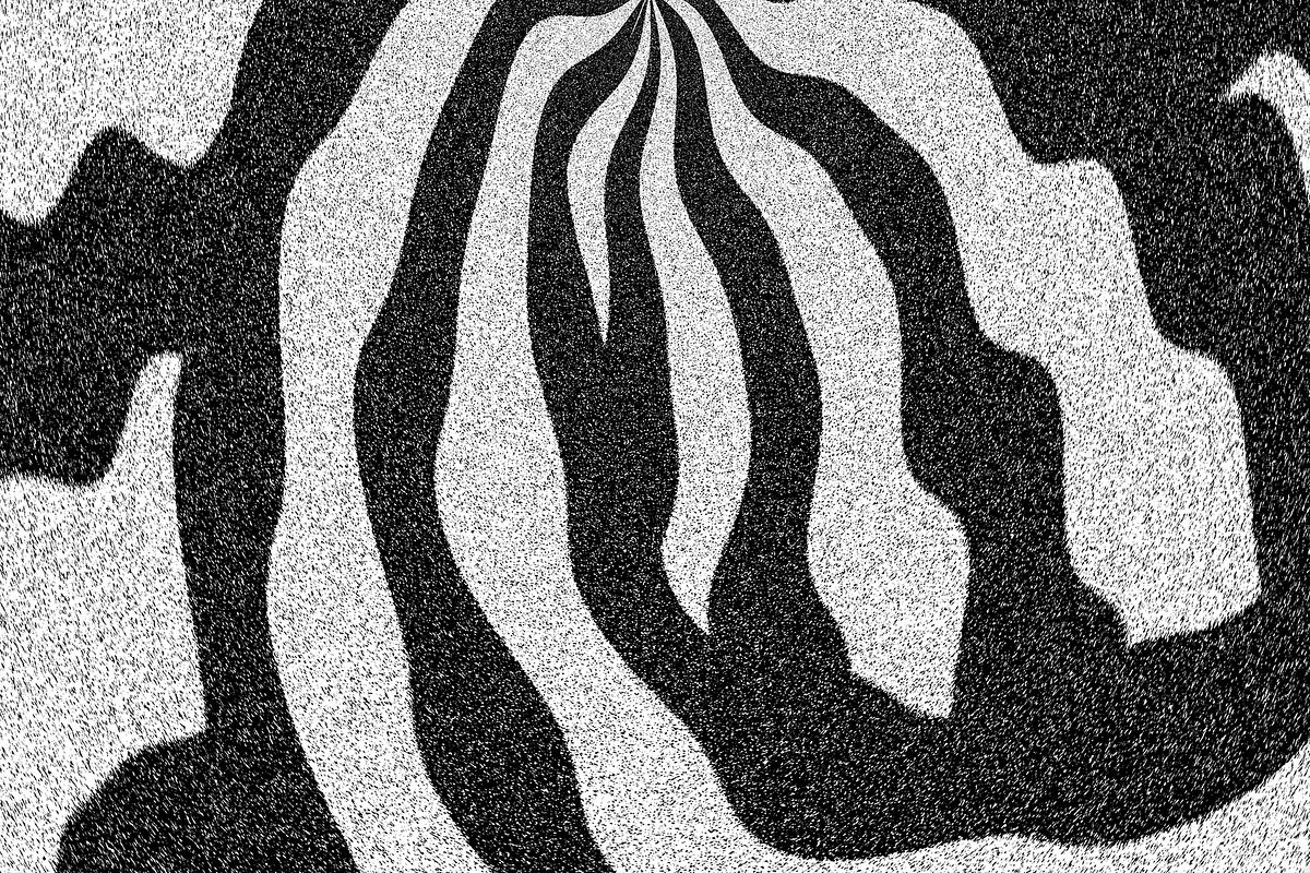 Wild Stripes, a Texture Graphic by Jennifer Lauren Creative (Photo 8 of 16)