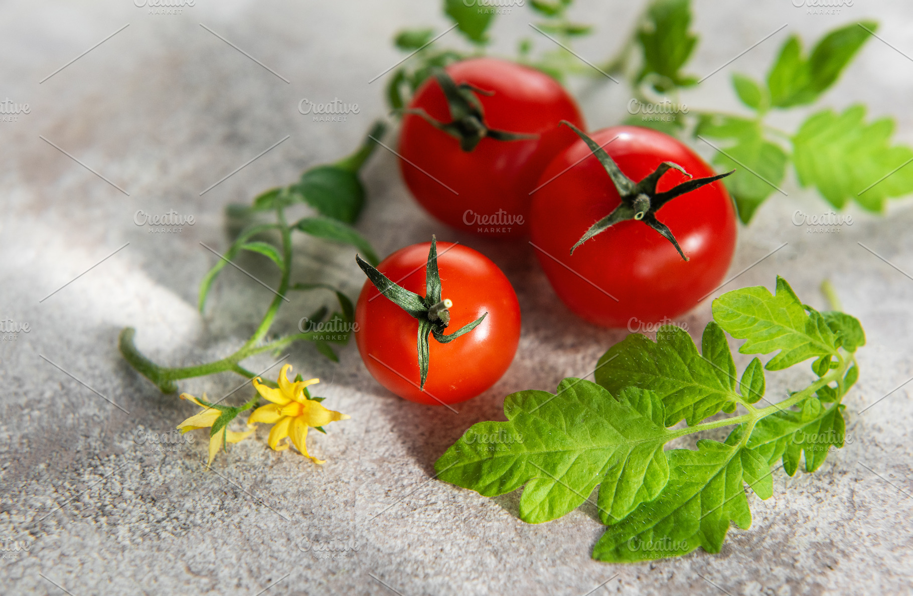Fresh cherry tomatoes on vine with green leaves and yellow flowe, a Food & Drink Photo by Olena Rudo