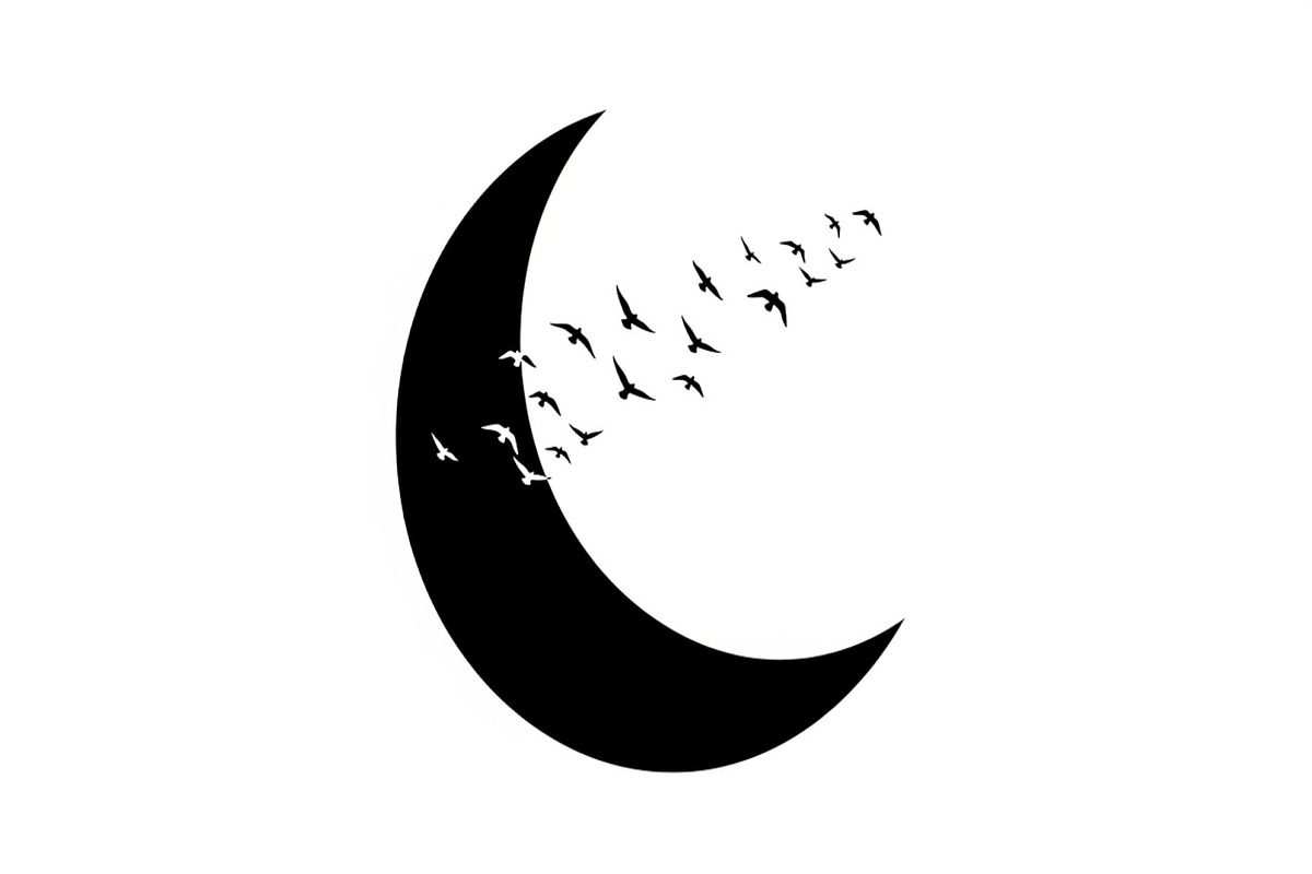 Flying Birds Moon SVG Bundle, an Illustration by yasushie (Photo 27 of 31)